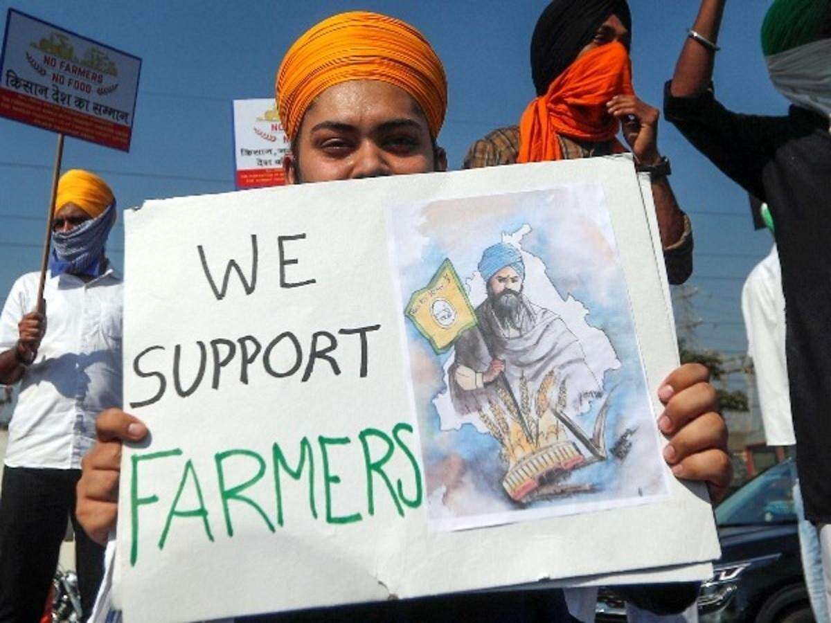 हरियाणा: राजद्रोह मामले में किसान को ज़मानत, कोर्ट ने कहा- बोलने की आज़ादी लोकतंत्र की नींव