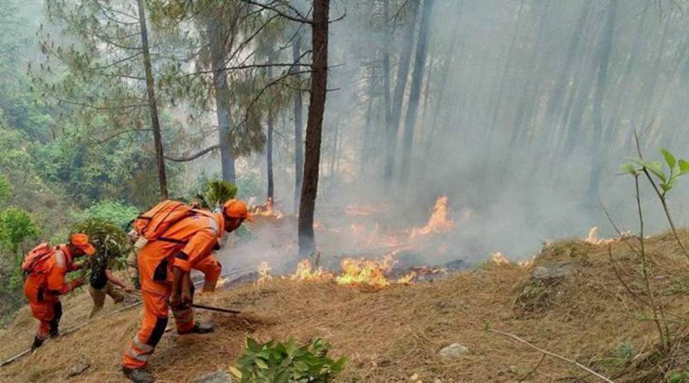 उत्तराखंड के जंगलों में लगी आग से कम से कम चार लोगों की मौत