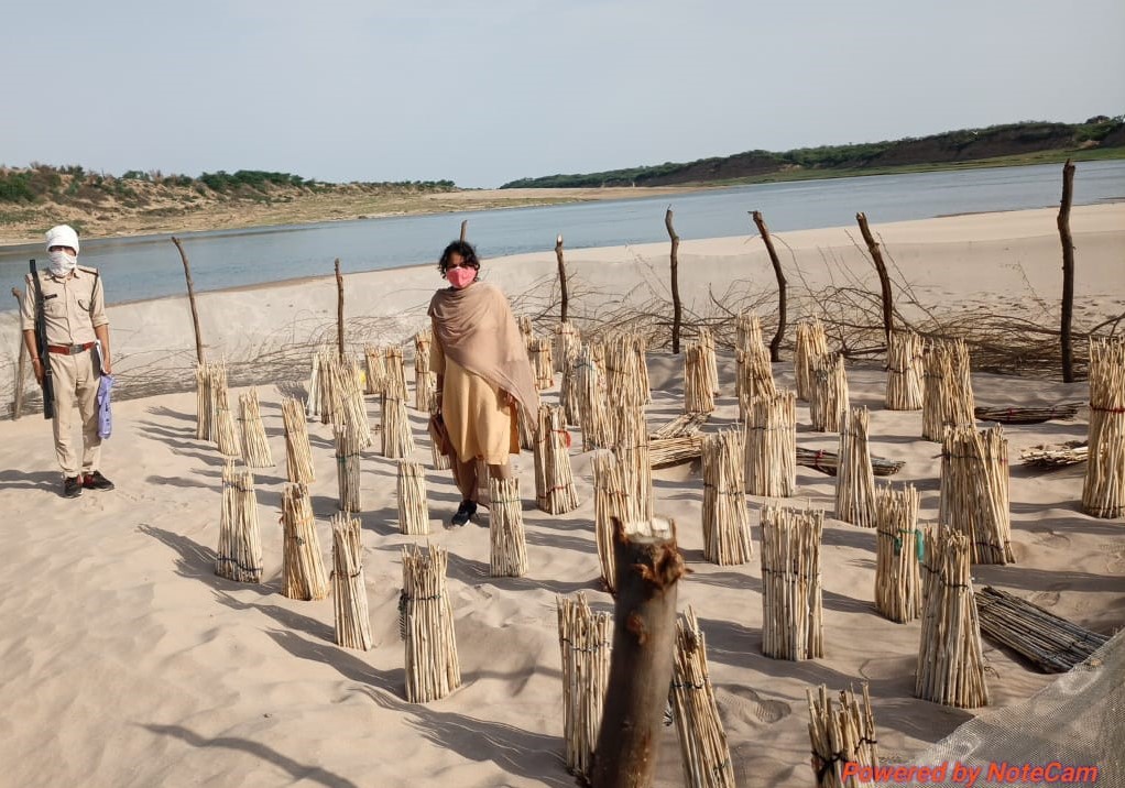 मध्य प्रदेश: वन विभाग की अधिकारी को क्या रेत खनन माफिया पर नकेल कसने की सज़ा मिली है