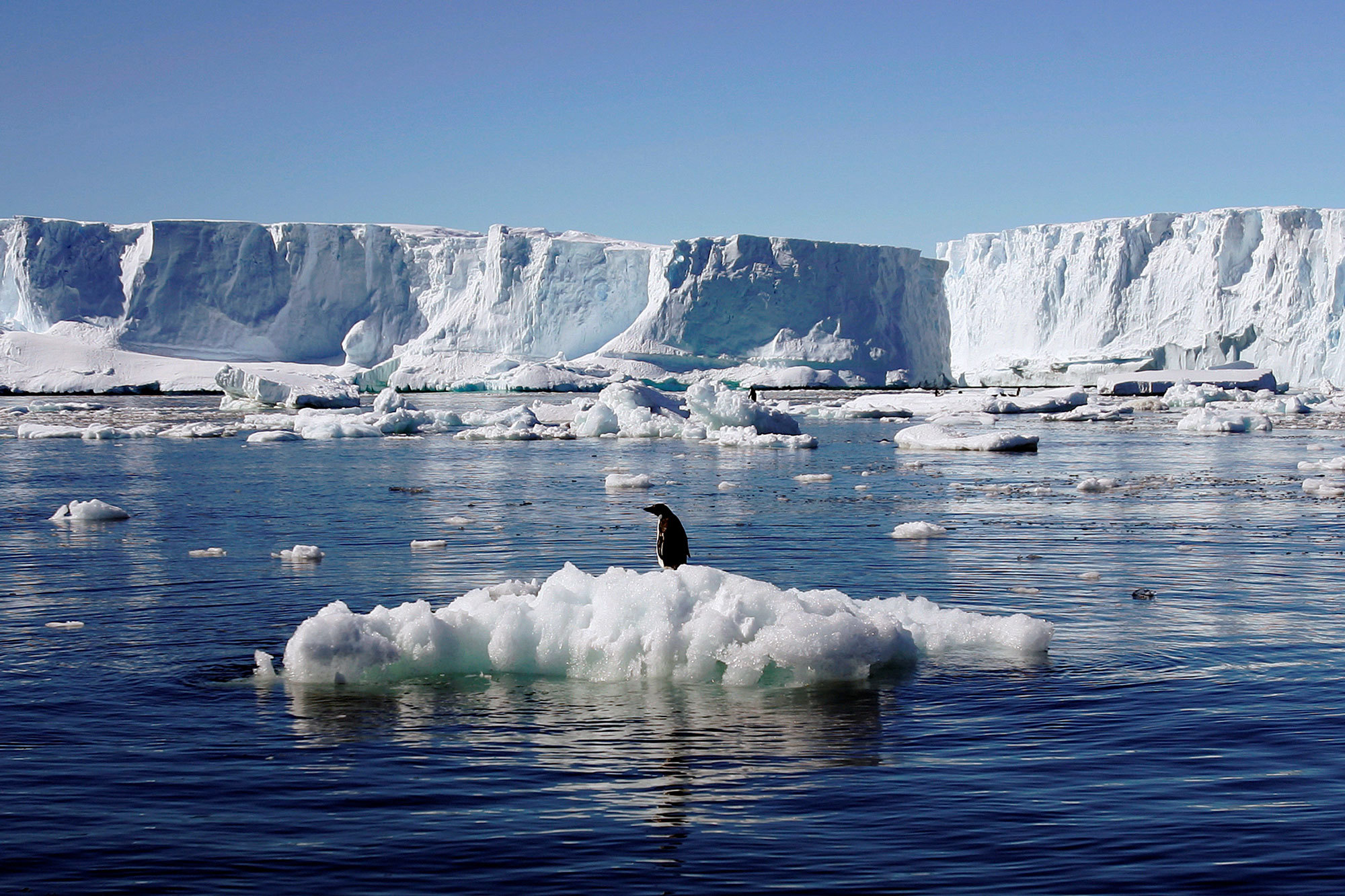 बढ़ते समुद्र, घटते ग्लेशियर; लगभग 100 प्रतिशत ग्लोबल वार्मिंग का कारण इंसान: यूएन जलवायु समिति
