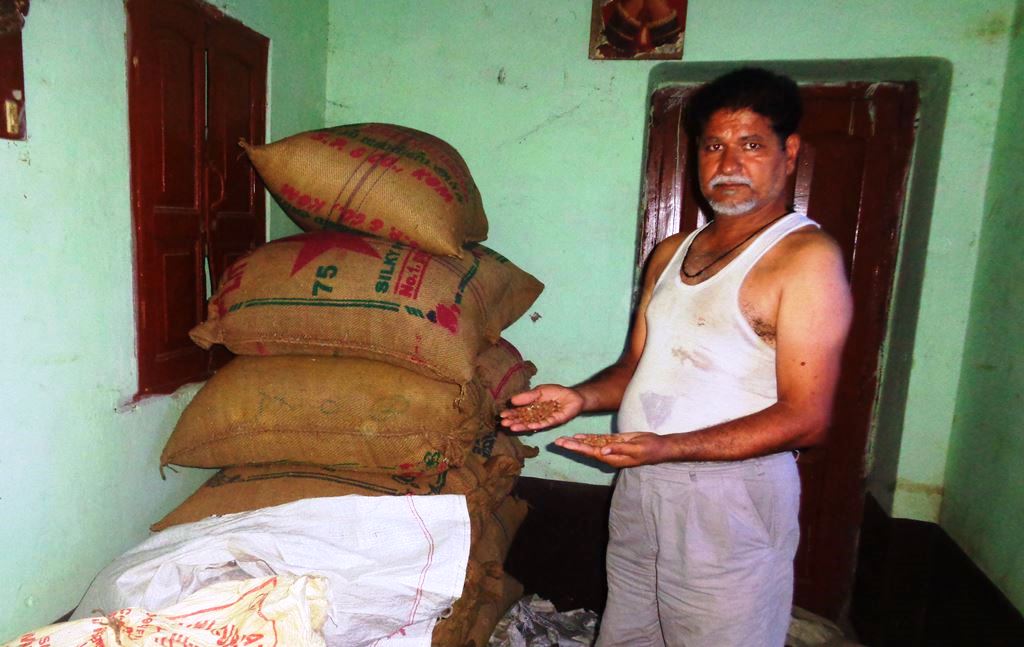 मोकामा टाल स्थित चिंतामणिचक के किसान भवेश कुमार का कहना है कि व्यापारी दाल खरीद भी लेते हैं तो तुरंत पैसा नहीं देते हैं. (फोटो: उमेश कुमार राय/द वायर)