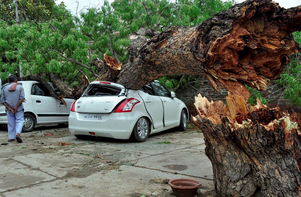 Patiala: Damaged cars after a tree fell on them due to an unexpected storm in Patiala on Wednesday. PTI Photo (PTI5_2_2018_000159B)