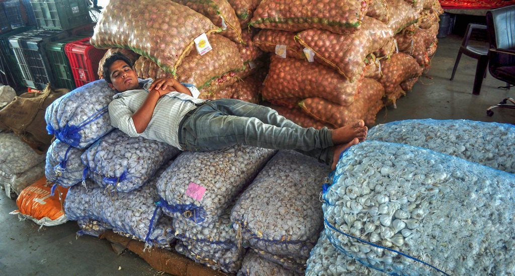Patiala: A labourer rest on sacks of vegetables on the 1st day of 10 day strike called by the farmers' unions for suply of Vegetables and Milk products in protest against hike of fuel prices, in Patiala on Saturday, Jun 02, 2018. (PTI Photo) (PTI6_2_2018_000139B)