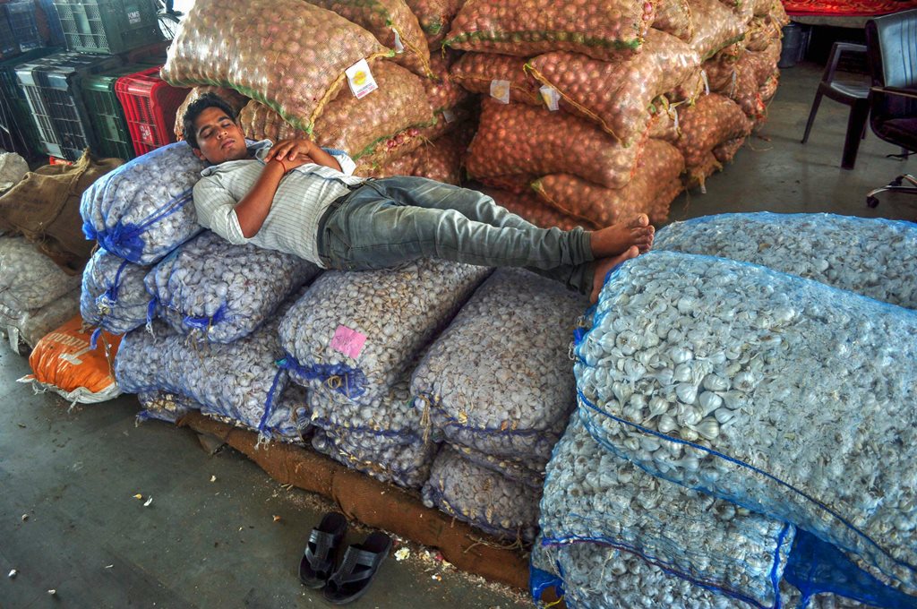 Patiala: A labourer rest on sacks of vegetables on the 1st day of 10 day strike called by the farmers' unions for suply of Vegetables and Milk products in protest against hike of fuel prices, in Patiala on Saturday