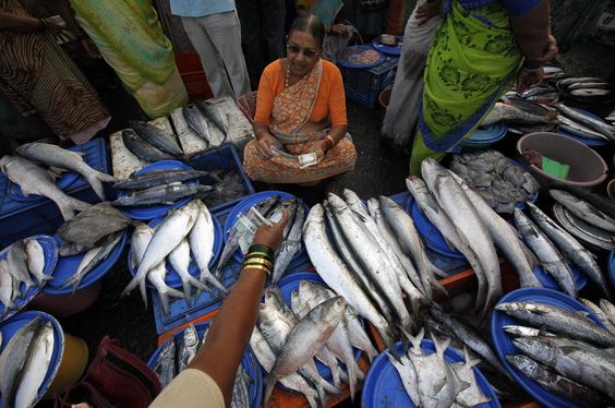 Fish Market Reuters
