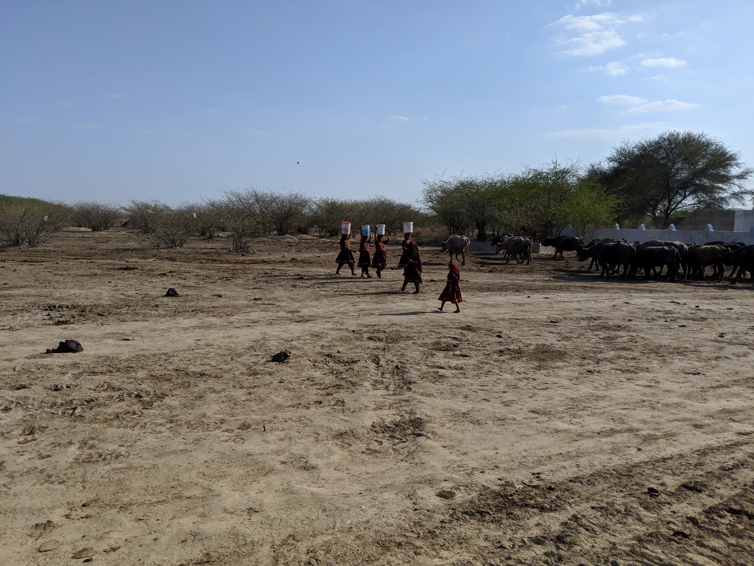 Gujarat Drought Photo Kabir Agarwal (13)