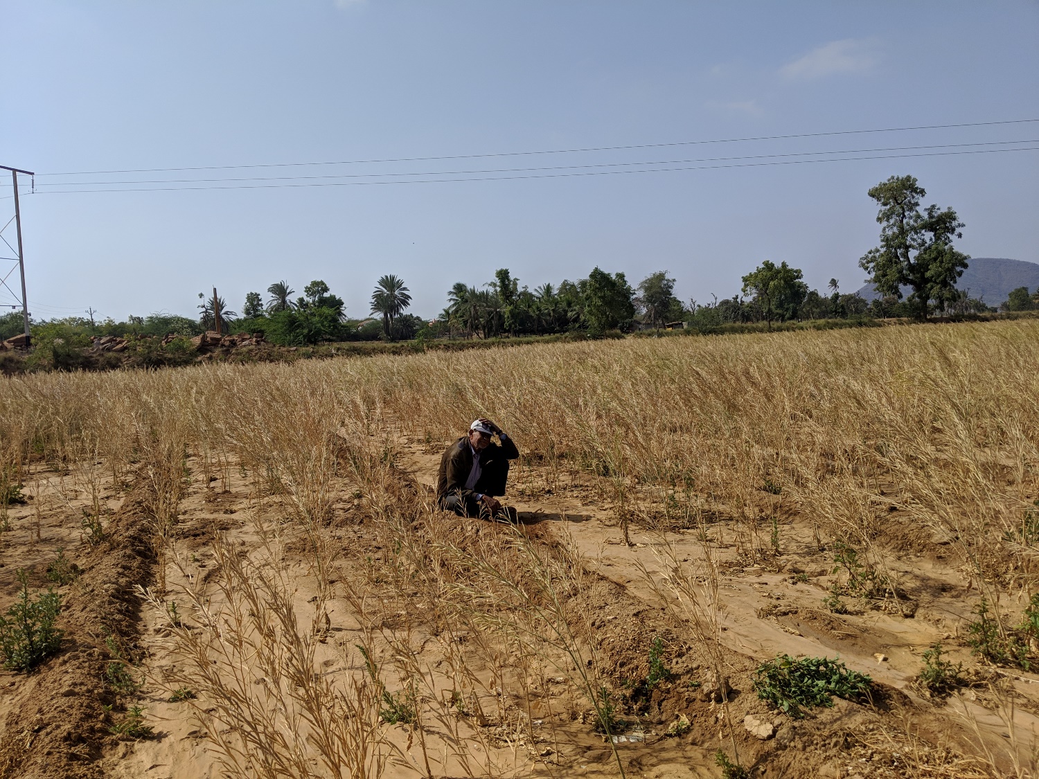 Gujarat Drought Photo Kabir Agarwal (5)