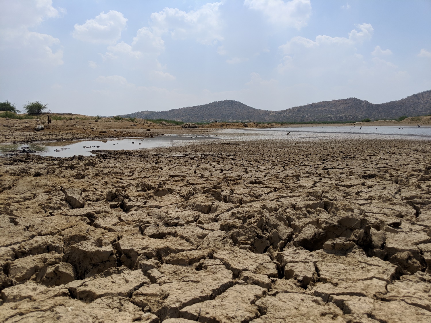 Gujarat Drought Photo Kabir Agarwal (9)