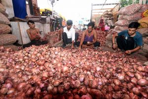 **EDS: WITH PTI STORY** New Delhi: Lebourers sort onions at Azadpur Mandi, a major market of the Agriculture Produce Marketing Committee (APMC), in New Delhi, Sunday, Sept. 22, 2019. Onion prices are spiralling reportedly due to shortage of supply, and also amid reports of crop damage and delay in arrivals of new crop. (PTI Photo/Shahbaz Khan) (PTI9_22_2019_000022B)