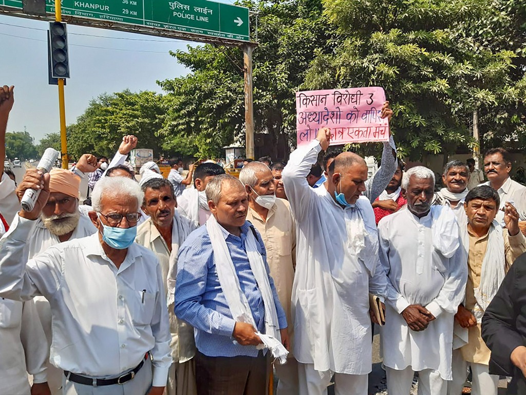 Hisar: Members of various farmers organizations stage a protest over agriculture related ordinances, in Hisar district, Sunday, Sept. 20, 2020. (PTI Photo)
