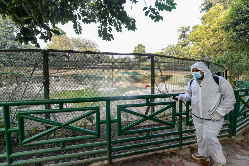 Lucknow: A worker wearing a protective suit sprays disinfectant inside Lucknow Zoo in the wake of Avian Influenza outbreak, in Lucknow, Saturday, Jan. 09, 2021. (PTI Photo/Nand Kumar)(PTI01 09 2021 000111B)