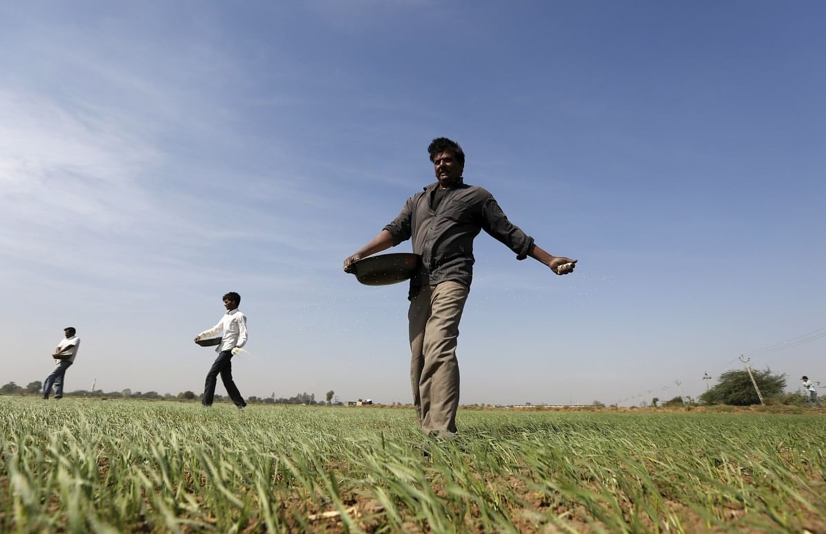 पहली किस्त से 11वीं किस्त तक पीएम-किसान लाभार्थियों की संख्या दो-तिहाई घटी: रिपोर्ट