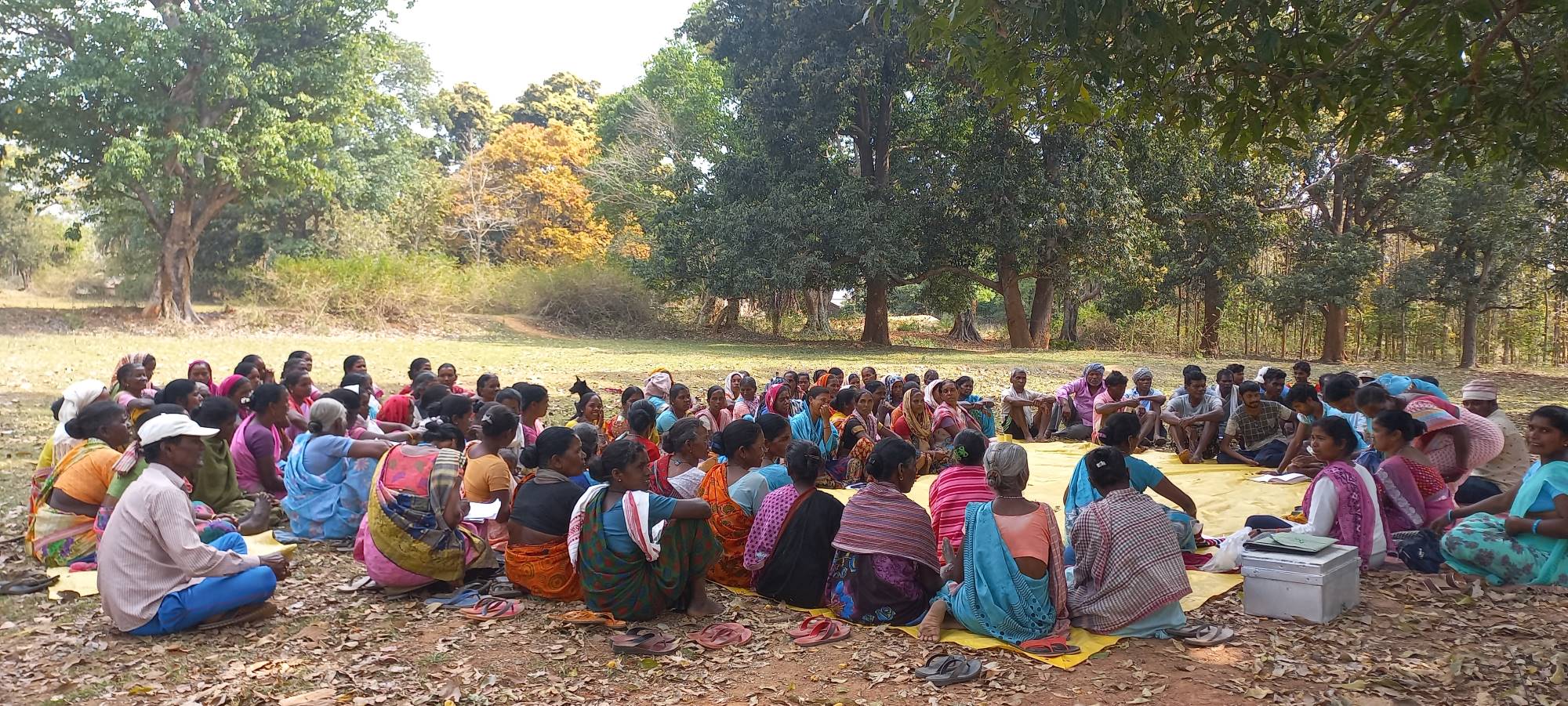 झारखंड: आदिवासी इलाकों में ग्राम सभाएं बचा रही हैं ज़मीनी लोकतंत्र