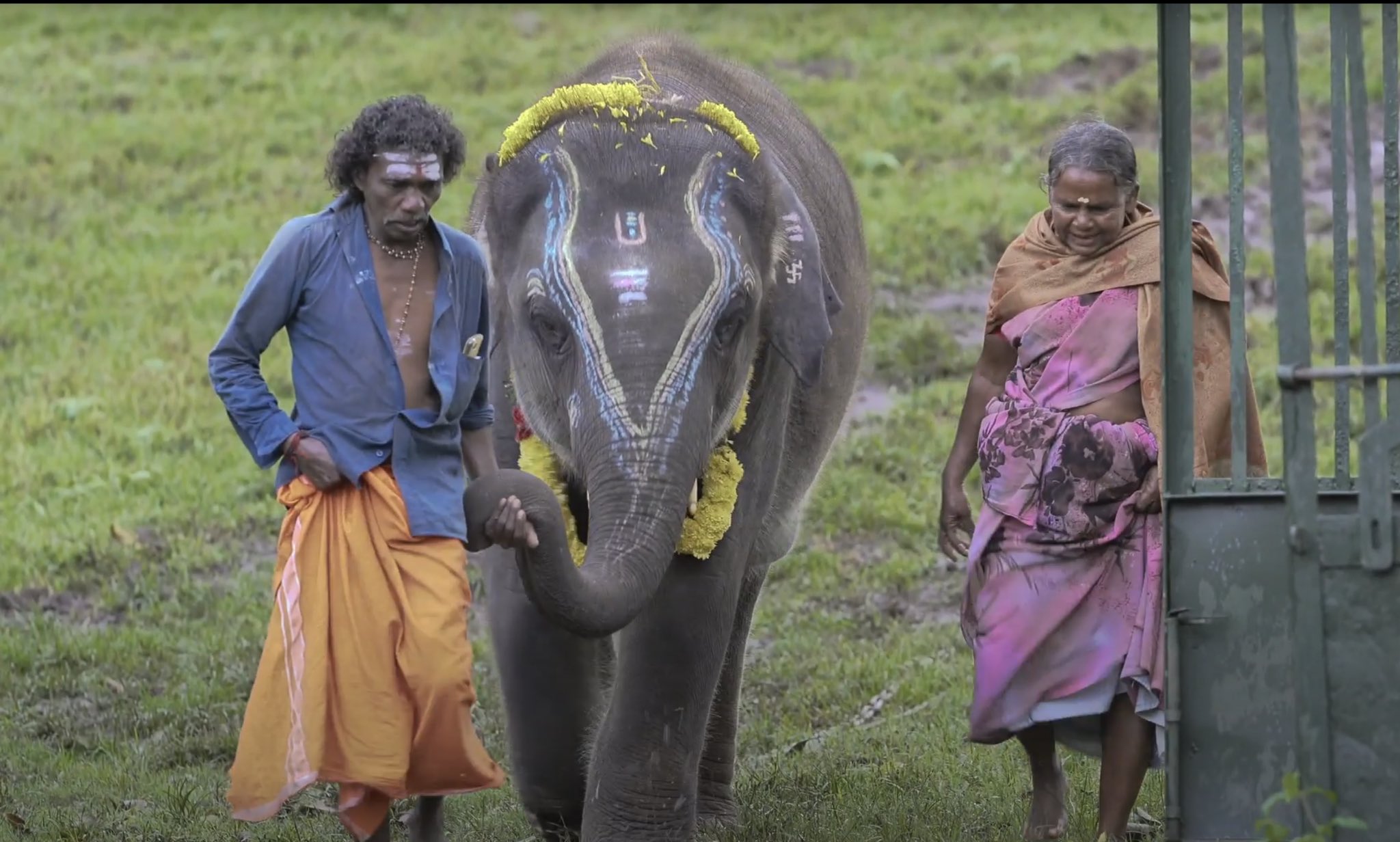 Oscars: Best Documentary for The Elephant Whispers, Best Original Song ...