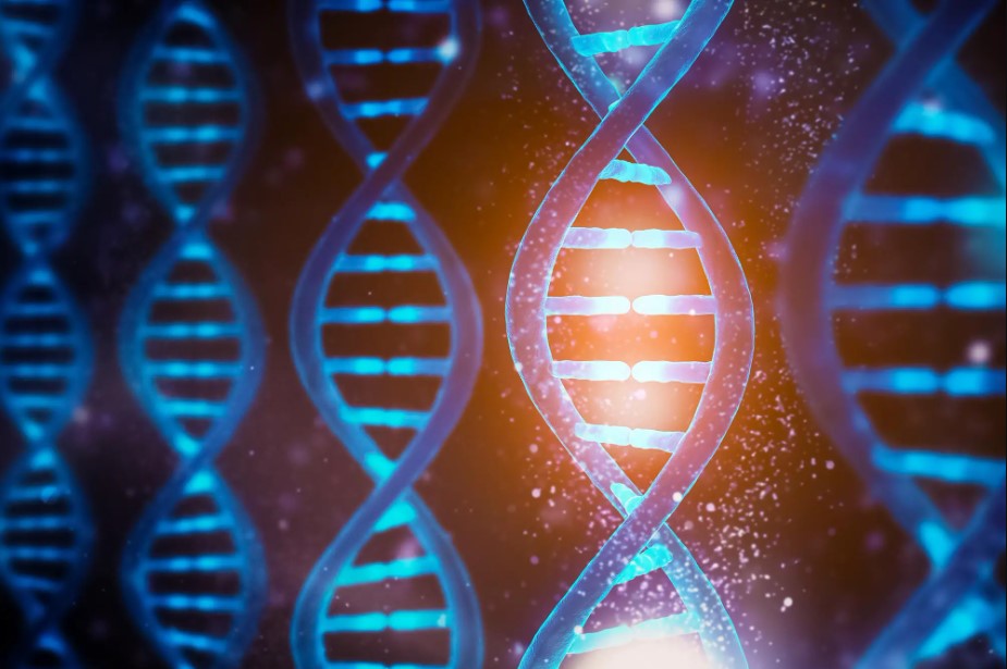 दुनिया में ‘डीएनए डे’ क्यों मनाया जाता है?